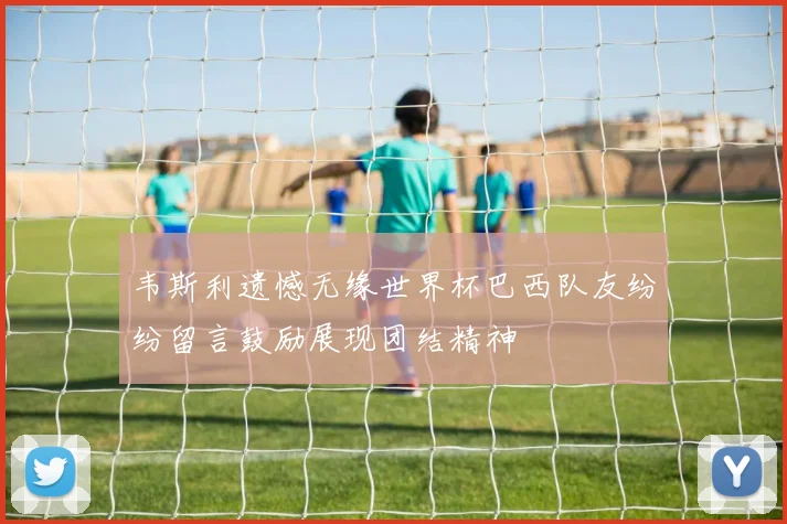 韦斯利遗憾无缘世界杯巴西队友纷纷留言鼓励展现团结精神