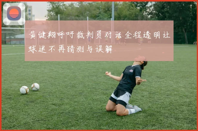 黄健翔呼吁裁判员对话全程透明让球迷不再猜测与误解