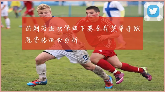 热刺若成功保级下赛季有望争夺欧冠资格机会分析